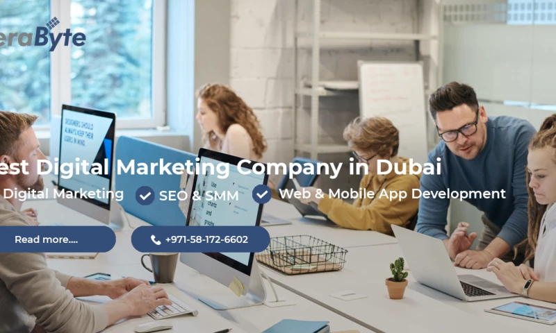 TeraByte - Best Website Development Company In Dubai