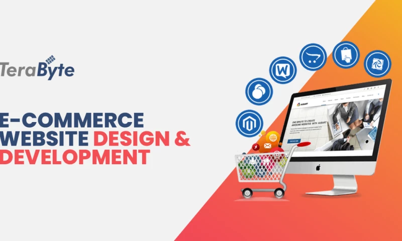 TeraByte - Website Development in Dubai