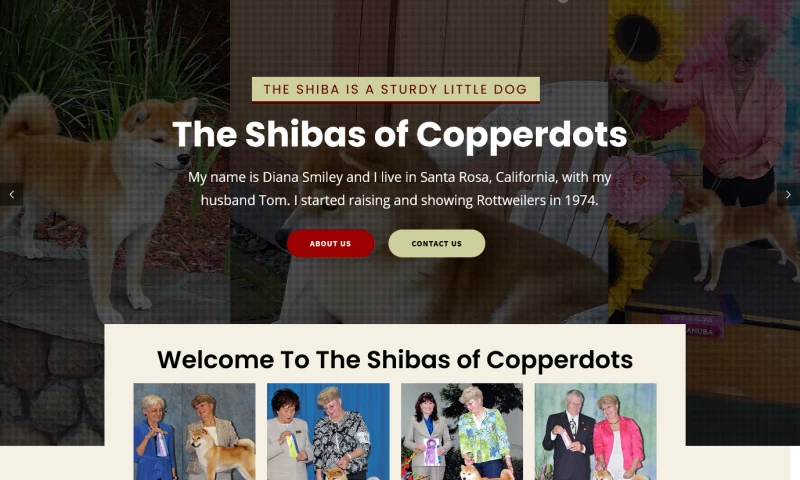 Shibas of Copperdots