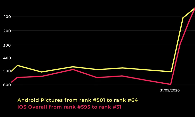 Bold Creators Club - Instories