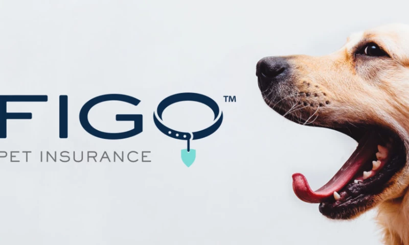 FIGO Pet Insurance