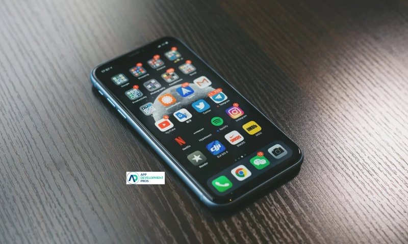 App Development Pros - Custom Application Development Services Company in USA