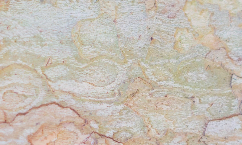 Virtina - eCommerce Customization for an Online Stone Marketplace