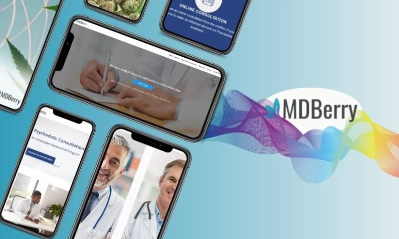 Custom Healthcare CRM System for MDBerry