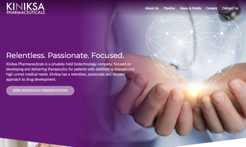 Yelling Mule - Kiniksa