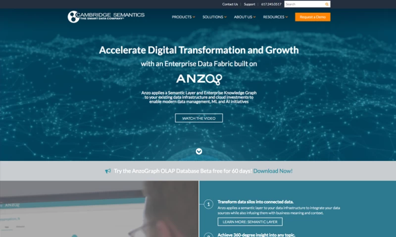 Yelling Mule - Cambridge Semantics