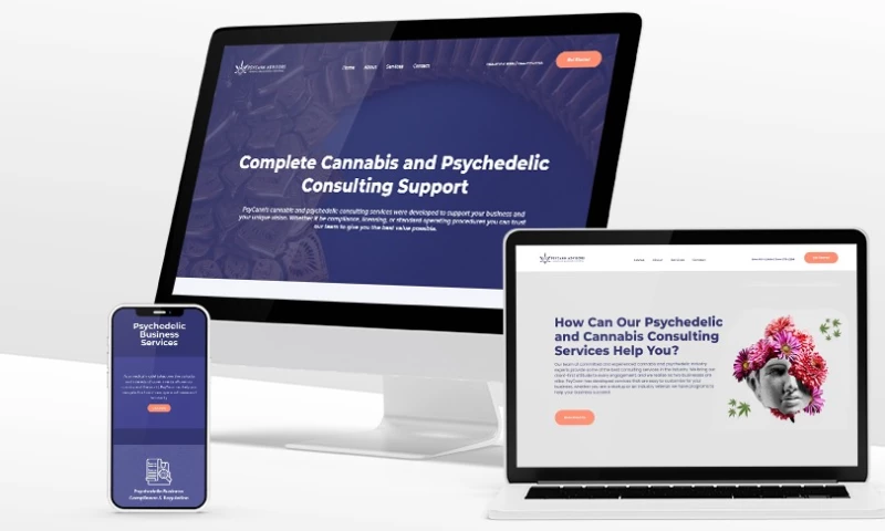 PsyCann Advisors - Web Design and Visual Identity