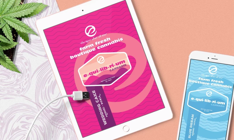 Equilibrium Cannabis - Brand Identity, Package Design, and Web Site