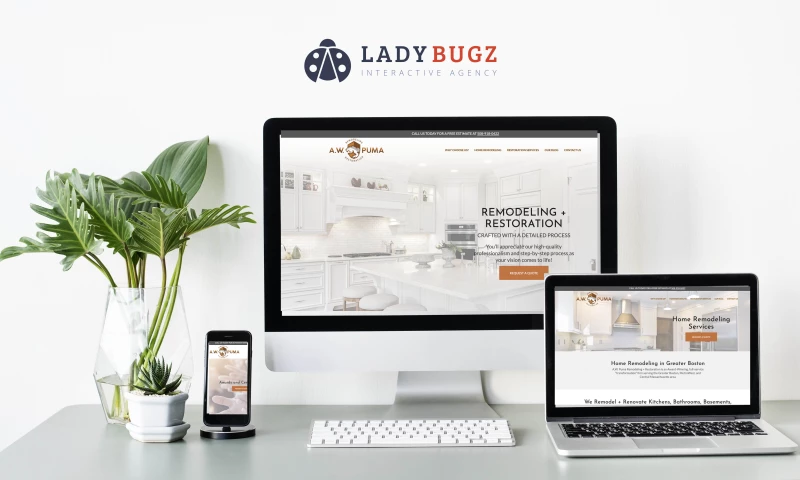 Ladybugz Interactive - Remodeling Company Website