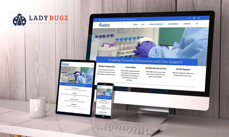 Ladybugz Interactive - CRO Website Design