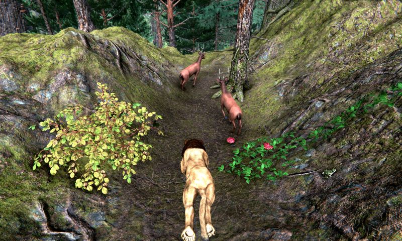 Futurealiti - Wild Lion Simulator - Animal Family Survival Game