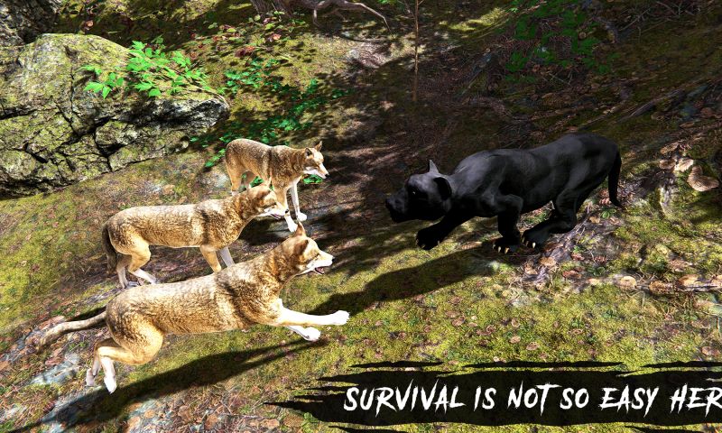 Futurealiti - Wild Panther Simulator – Animal Family Life Game