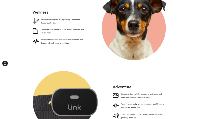 DiscoverTec - Link My Pet
