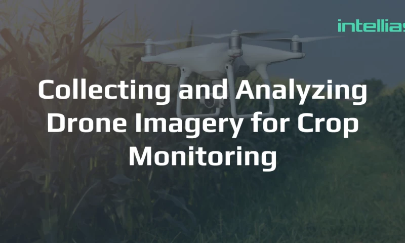 Intellias - How we built a prototype of a drone farming solution