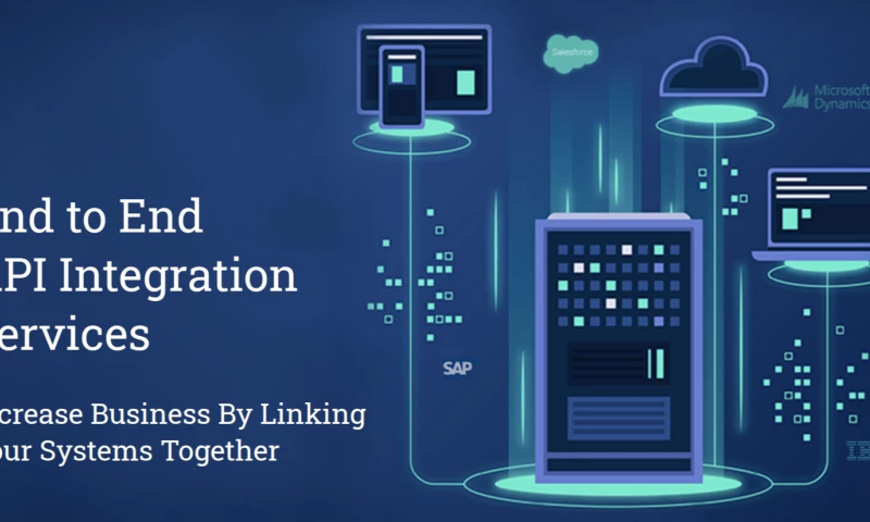 API Integration Services