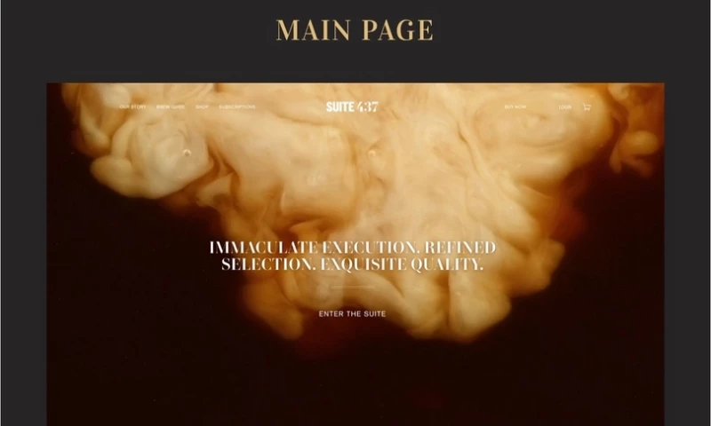 Shopify Development for Suite 437