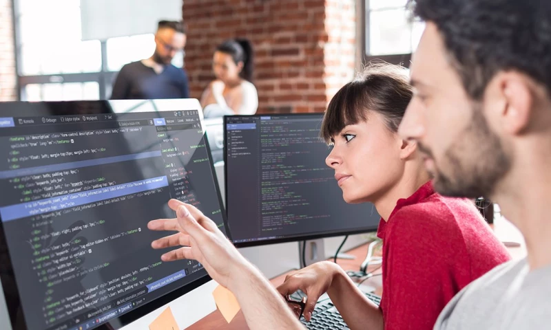 Enterprise Tiger: The Gem of Sumeru Solutions