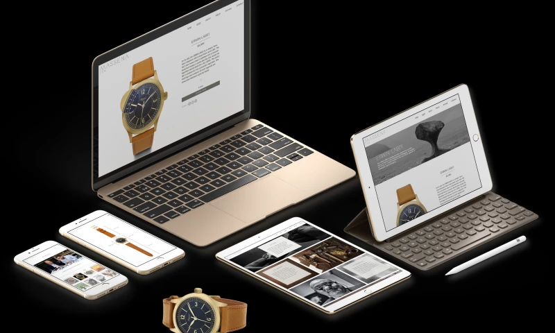 Bionic Egg - Massena LAB