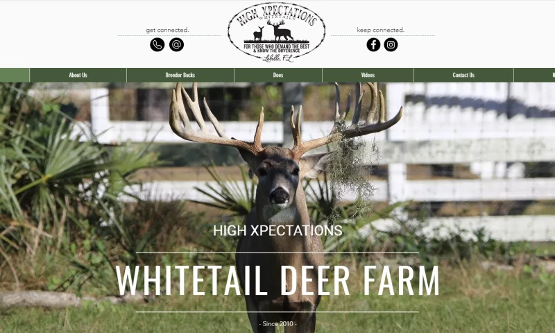 HX Whitetails