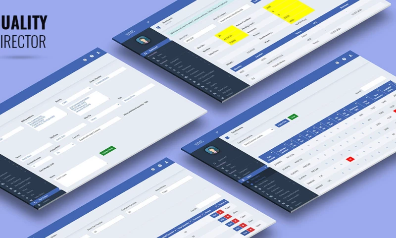 Softqube Technologies - Quality Director