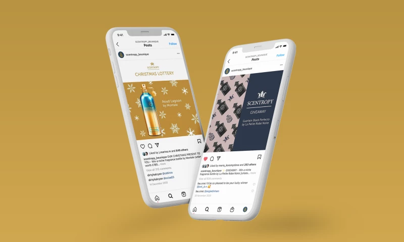 Scentropy Website Design & Development