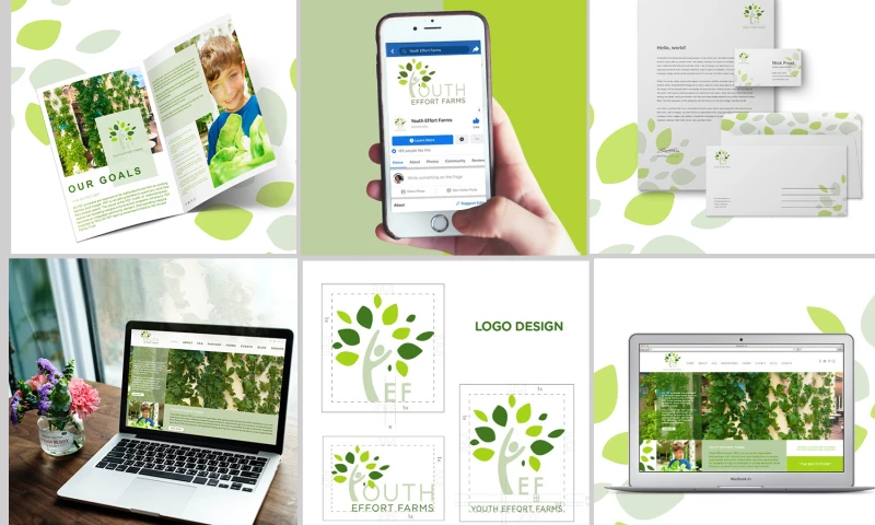 YEF Organization Brand Identity