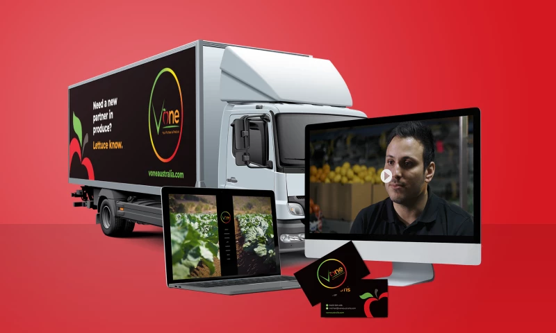 Bear Marketing - V One