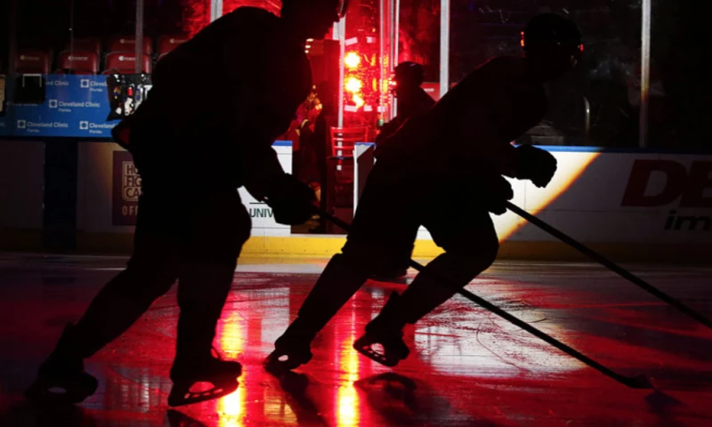 MuteSix - Facebook Case Study: NHL.TV