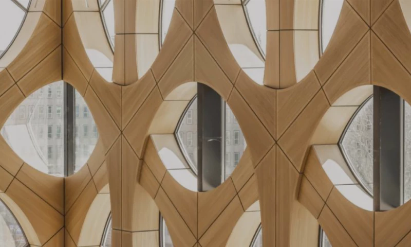 DPDK - Naturalis: The successful rebranding of one of the world’s top natural history museums