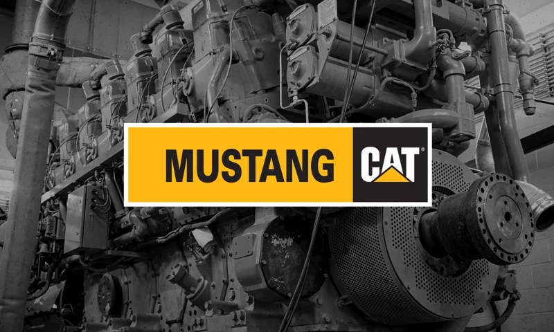 Mustang Cat