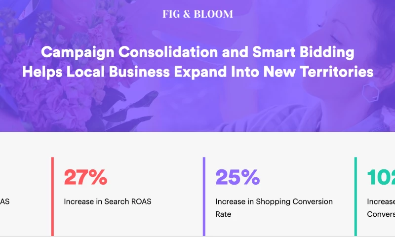AdVenture Media Group - Creative Smart Bidding Drives a 290% Increase in ROAS