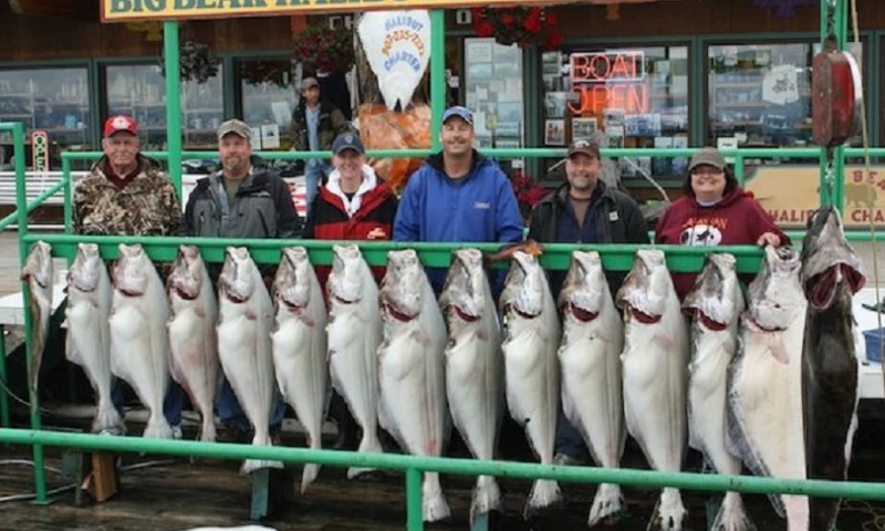 Alaska Halibut Fishing Charter