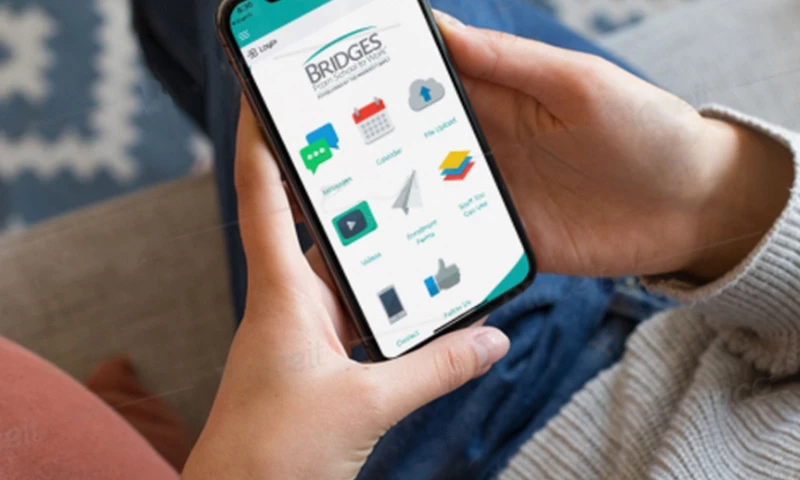 Bridges for School To Work