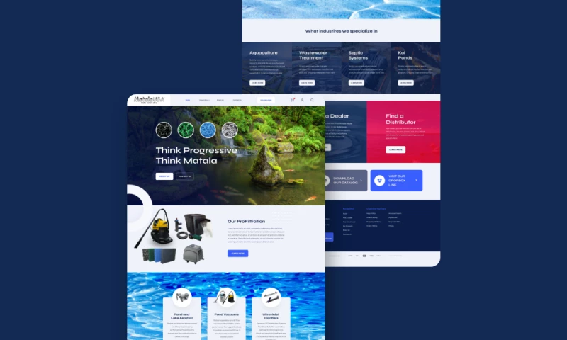 Revealize - Matala USA