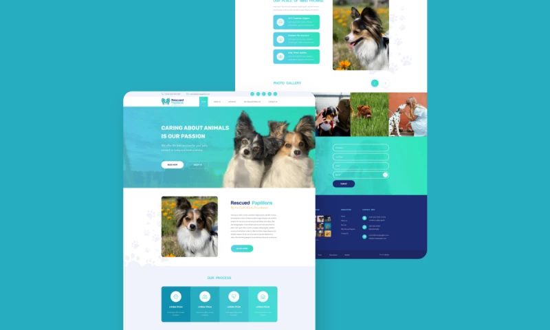 Revealize - Rescued Papillions