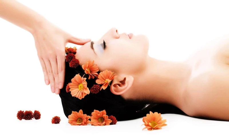 SeoTonic - Shangri La Spa