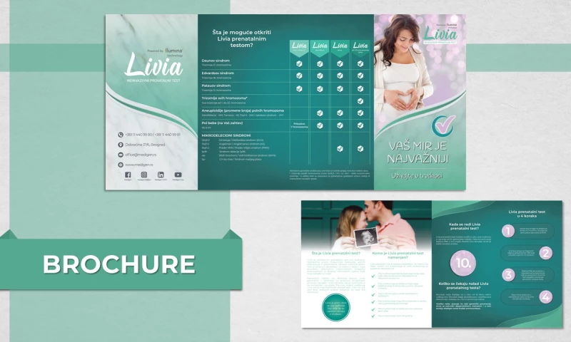 Digitizer - Livia Brochure