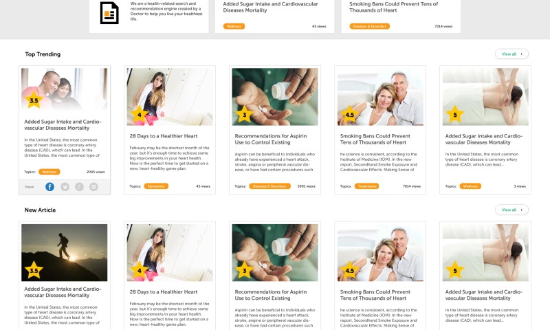 Stone Soup Tech Solutions - Healthwitz