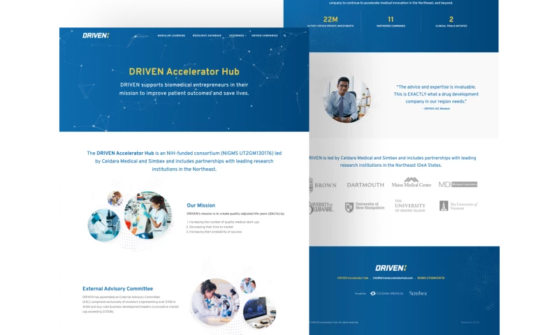 Belov Digital Agency - DRIVEN Accelerator Hub