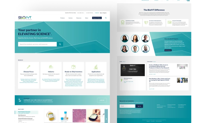 Belov Digital Agency - BiolVT