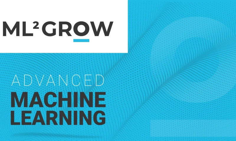 Armeanu Creative Studio - ML 2 Grow