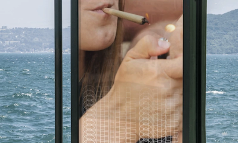 Dos Mundos Creative - Restart CBD // Full Service