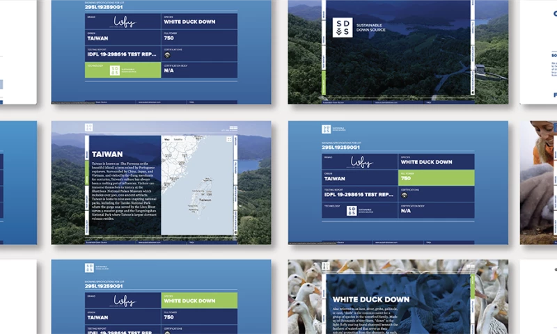 BS LLC - SDS Down Tracker