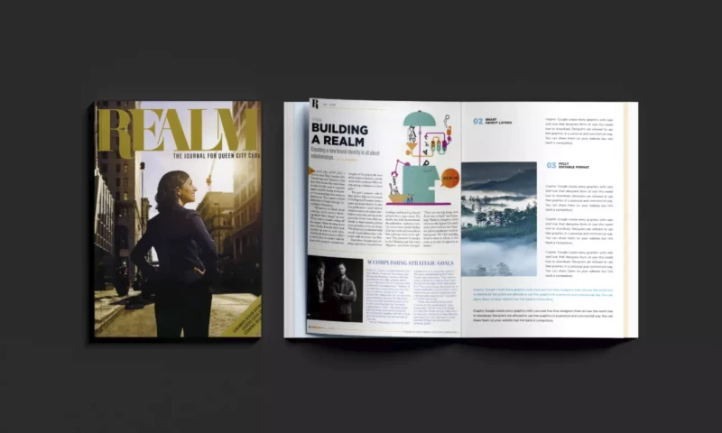 BS LLC - Realm Magazine