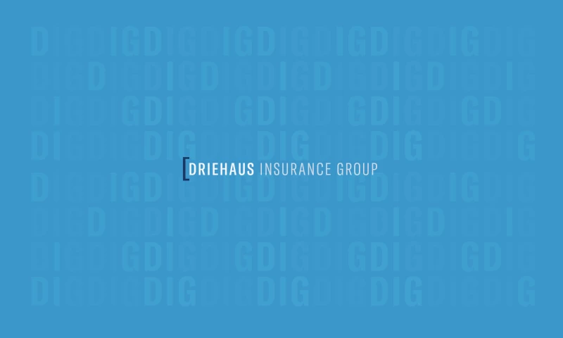 BS LLC - Driehaus Insurance Group