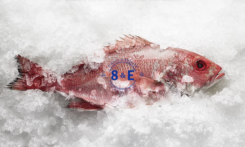 BS LLC - 8th & English