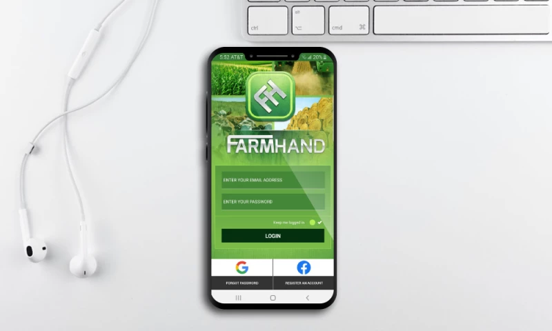 SEO, Google Ads, Social Media Ads