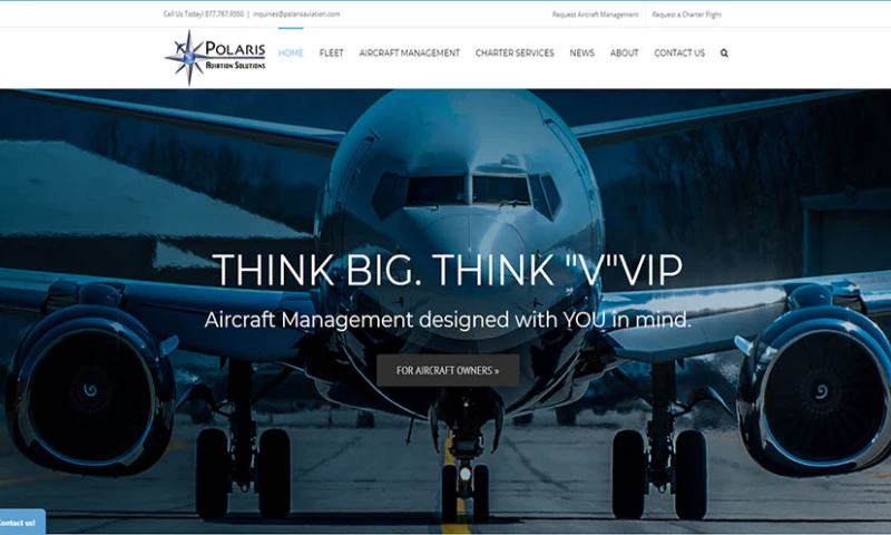 Blue Diamond Webs - Polaris Aviation