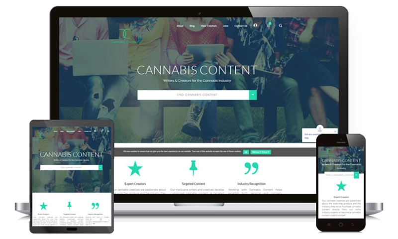 WPWeb Infotech - CANNABIS CONTENT