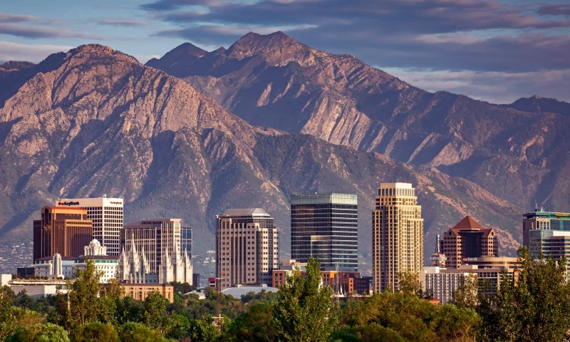 TMD - TMD Marketing & Advertising